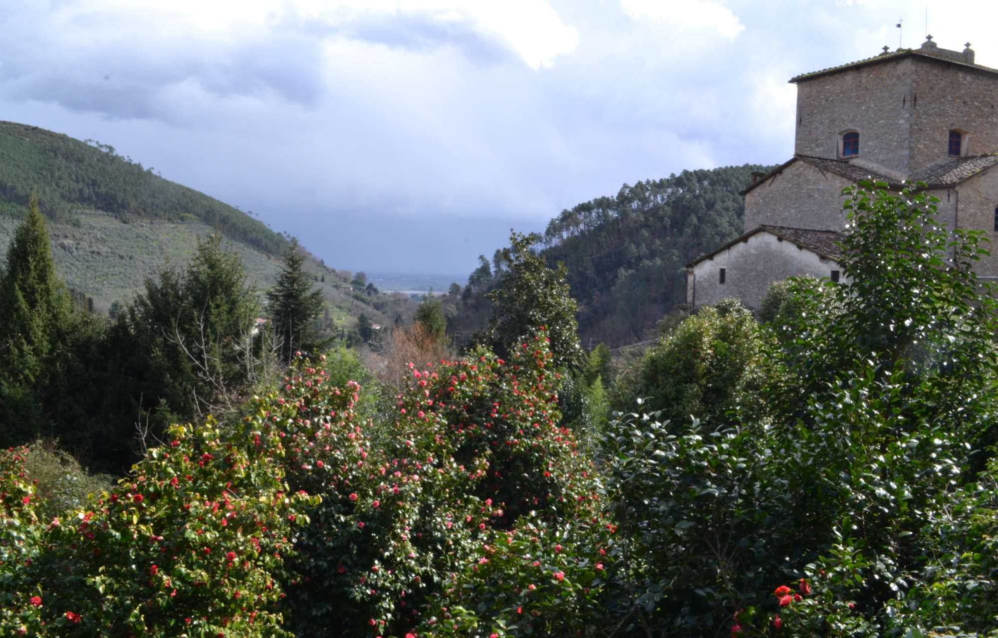 Immagine A Pieve di Compito a Capannori per tre giorni sarà festival delle cooperative di comunità